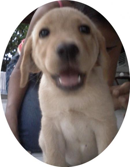 ooooooooo  SKYT  ooooooooo